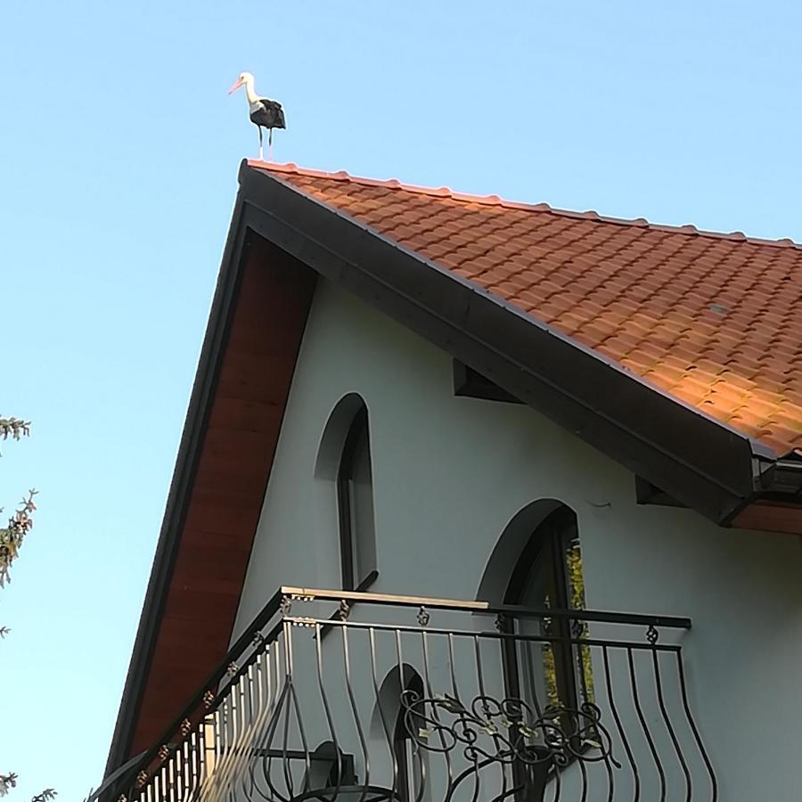 Gosciniec Twoje Mazury Nad Jeziorem Sniardwy Tuz Obok Plazy Nowe Guty Ngoại thất bức ảnh